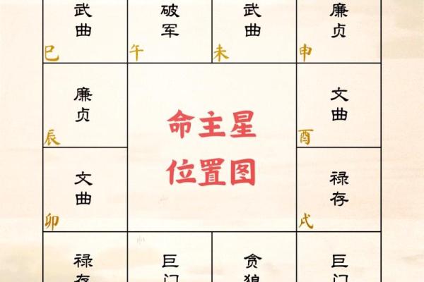 81年属鸡人命理分析：揭示其性格与运势的奥秘