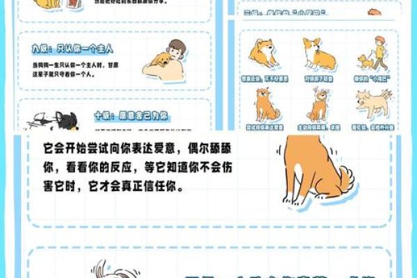 木命女性适合养什么宠物？解析最佳伴侣选择！