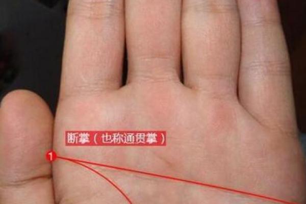 男人单手断掌的命运解析：神秘掌纹与人生轨迹的关系