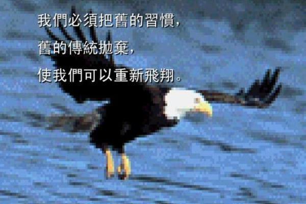 1791年命格的深刻解析与人生启示