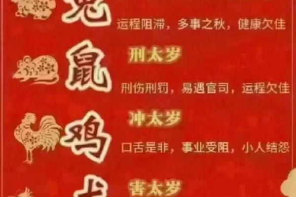 2023年出生的婴儿命运：天赋与机会的完美结合