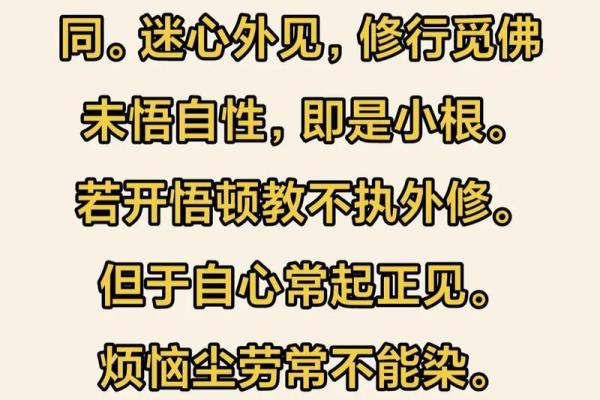 和尚命与生活智慧：如何用心灵的力量化解困惑与烦恼