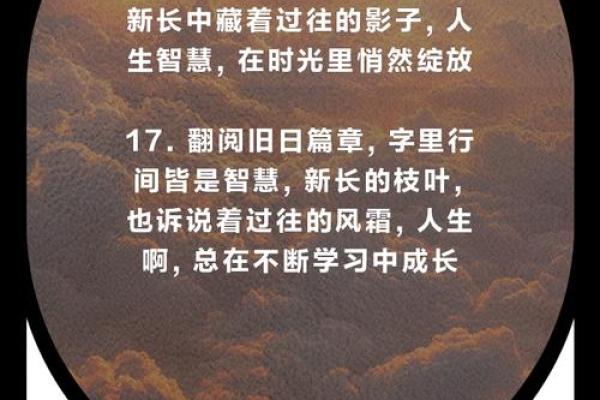 88腊月：寻找属于你的命运之道与人生智慧