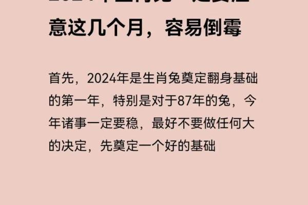 33岁兔年是什么命?浅谈兔年出生人的命运与性格特点 33岁兔年是什么命?浅谈兔年出生人的命运与性格特点