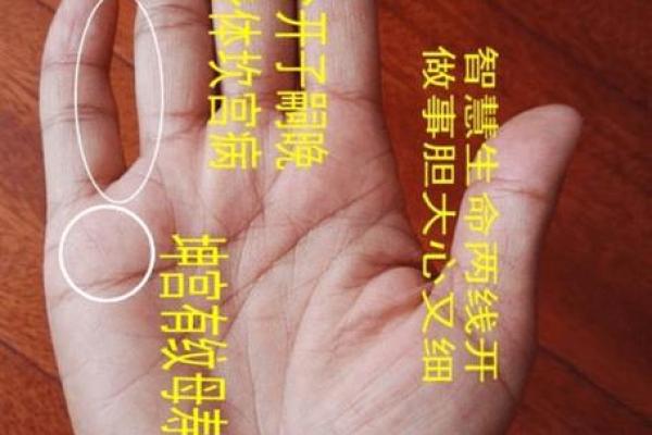 五六年出生者的生肖与命运探秘:揭开命理的神秘面纱 五六年出生者的生肖与命运探秘:揭开命理的神秘面纱