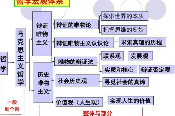90年马：关于金命与人生哲学的探讨
