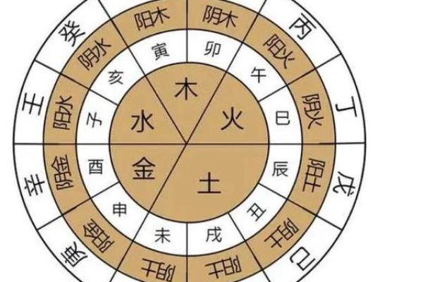 1954年属什么命格：探索木命的独特魅力与人生智慧