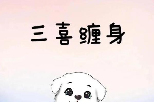 94年属狗，命理解读与生活启示