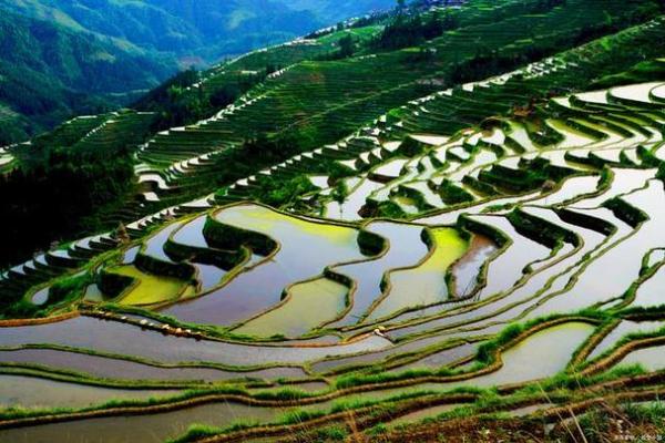 华盖的深意：探索其文化内涵与人文价值