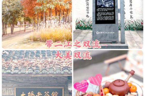 华盖的深意：探索其文化内涵与人文价值