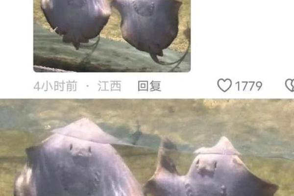 海底秘密：揭示海洋动物长寿的神秘原因