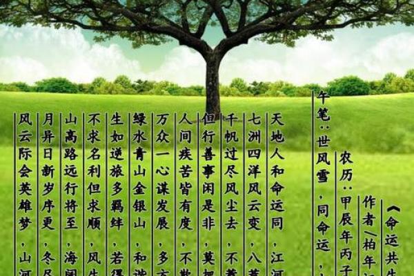 戊午日出生者的命运解析:揭开神秘面纱,探寻人生轨迹 戊午日出生者的命运解析:揭开神秘面纱,探寻人生轨迹