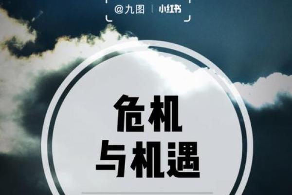 命与运：揭示这辈子注定的秘密与转机