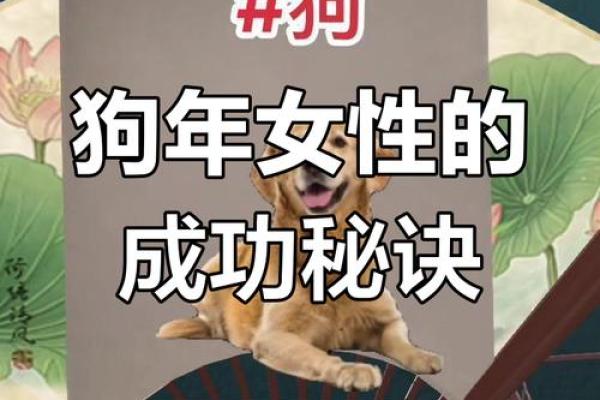 82年属狗女性的命运：揭开性格与运势的奥秘