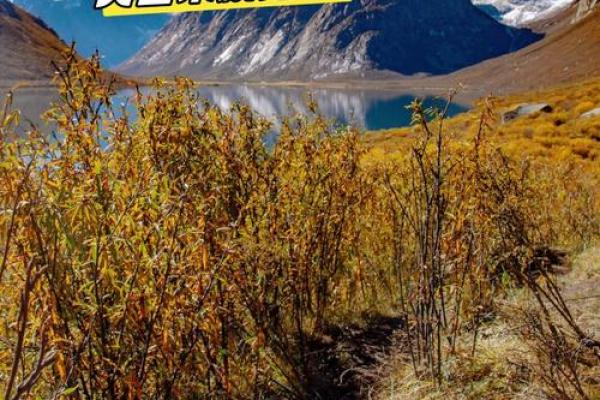 贯彻使命，成就人生的精彩旅程