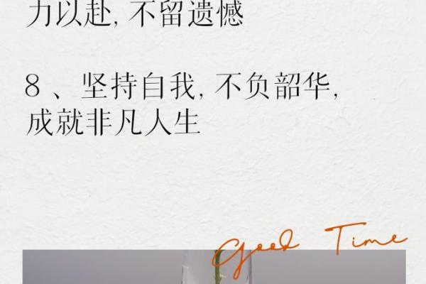 贯彻使命，成就人生的精彩旅程