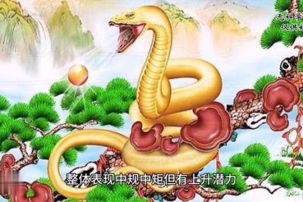 19553属蛇之命：探索神秘的命理与人生哲学