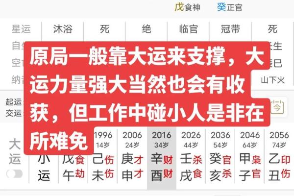 2018年兔年命理解析：兔年的运势与人生影响探讨