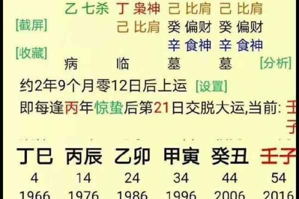 98年男虎的命理解析：城墙土命中缺什么？深度剖析人生发展之路！