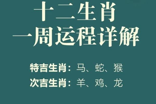 80后生肖命运解析：哪些生肖更具好运与成功？