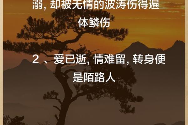 续爱一命抵一命,深情与命运交织的故事 续爱一命抵一命,深情与命运交织的故事