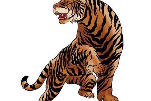 1951年属虎的命运与人生解析：勇猛与智慧的结合