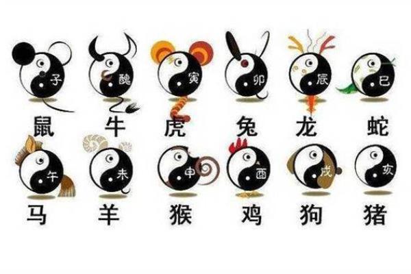 1951年属虎的命运与人生解析：勇猛与智慧的结合