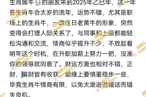 2016年牛年命理解析：洞察属牛人的性格与命运