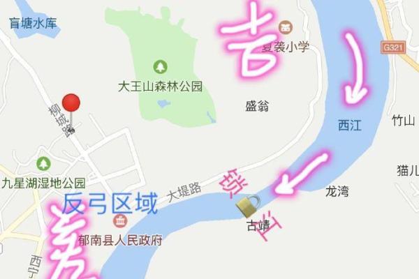 命牵牛水牛:解读命理与人生中的象征意义 命牵牛水牛:解读命理与人生中的象征意义