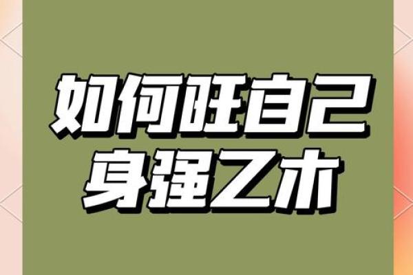 2023年木命人的运势与喜好：如何提升生活品质与幸福感