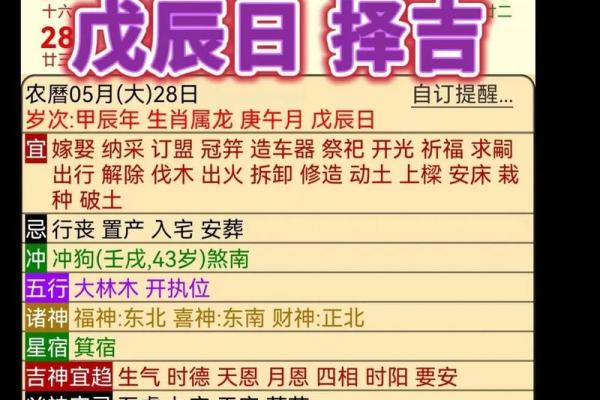 戊辰年出生的命理解析：性格、运势与人生指导