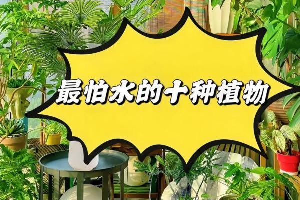 命缺水的人适合种哪些植物?让我们来探讨一下! 命缺水的人适合种哪些植物?让我们来探讨一下!