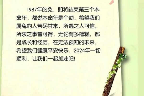 197兔年出生的人命运解析：探索命理的奥秘与人生的机遇