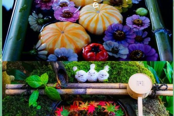 木命人士适合穿什么颜色?让我们一起探寻心灵的色彩之旅! 木命人士适合穿什么颜色?让我们一起探寻心灵的色彩之旅!