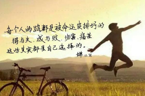 选盒子测你的命运，揭示内心深处的秘密！