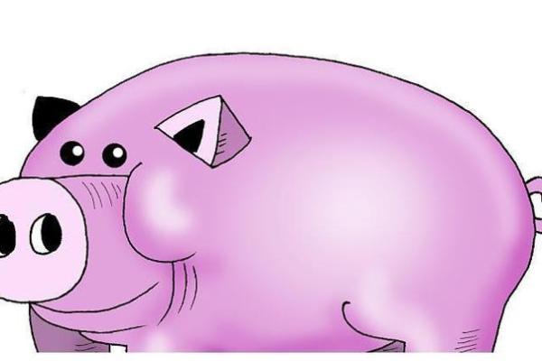 海中水命的属猪老公:缺什么与如何补救的指南 海中水命的属猪老公:缺什么与如何补救的指南