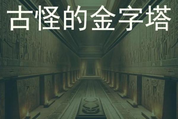 92年11月的命运之谜：探秘人生命运的奥秘与启示