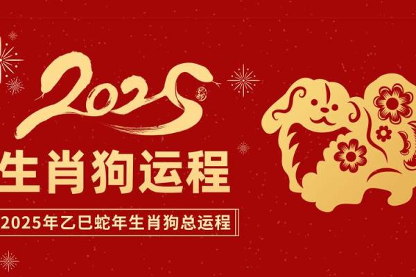2019年属狗人的命运解析：如何把握年运与生活美好未来