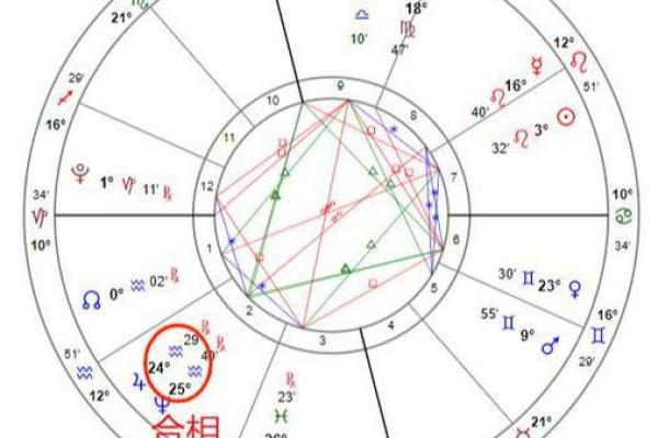 77年命格分析:寻找生命的缺失与补充之道 77年命格分析:寻找生命的缺失与补充之道