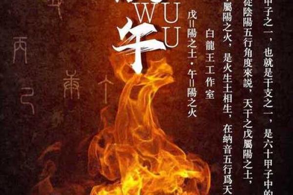 阳时出生的人命运解析:掌握自己的未来与机遇 阳时出生的人命运解析:掌握自己的未来与机遇