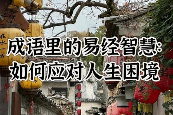 命运由己，成长中的成语智慧与人生启示