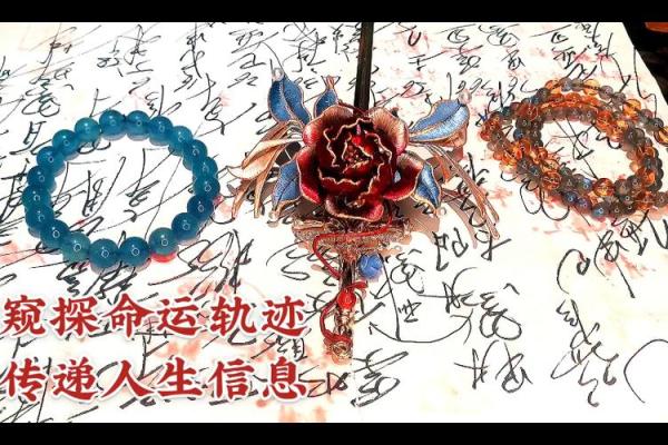 1952年10月出生的人生轨迹与命运解析