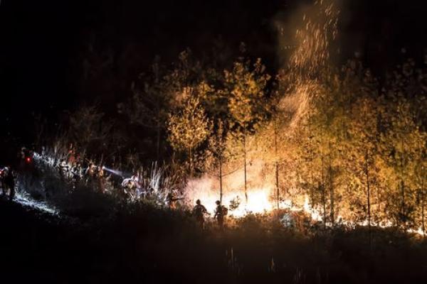 火头山命的行业适用性:灵动人生的职业选择之道 火头山命的行业适用性:灵动人生的职业选择之道