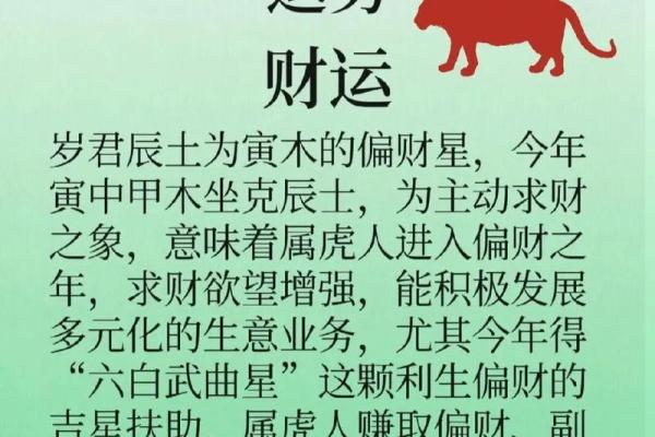 1962年属虎的命运与人生解析：揭开老虎的神秘面纱