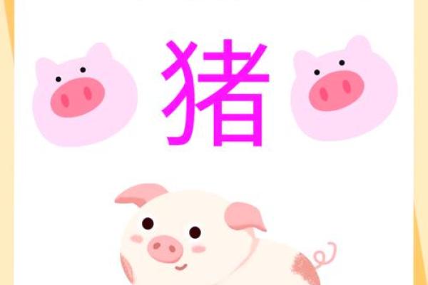 74年猪年，命理解析：属猪人的命运与生活变化