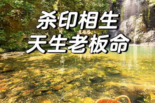 算命的女人是什么命:命运与智慧的交织之旅 算命的女人是什么命:命运与智慧的交织之旅