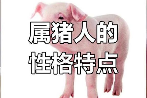 探索24岁猪的命运之谜:生肖猪的性格与运势解析 探索24岁猪的命运之谜:生肖猪的性格与运势解析