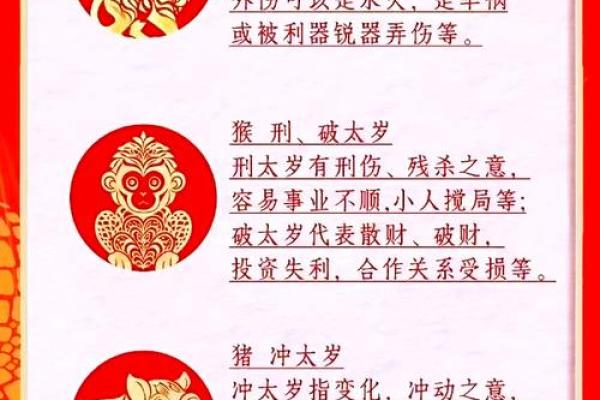 55岁属什么,揭示命运背后的秘密与智慧 55岁属什么,揭示命运背后的秘密与智慧