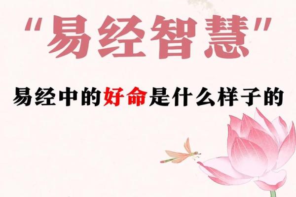 55岁属什么,揭示命运背后的秘密与智慧 55岁属什么,揭示命运背后的秘密与智慧