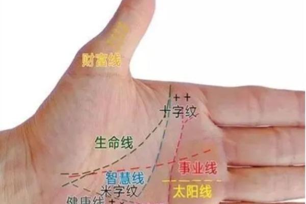 粗短女孩手指的命运解读：从掌纹看个性与未来